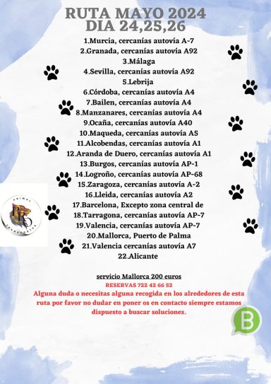RUTA MALLORCA MAYO